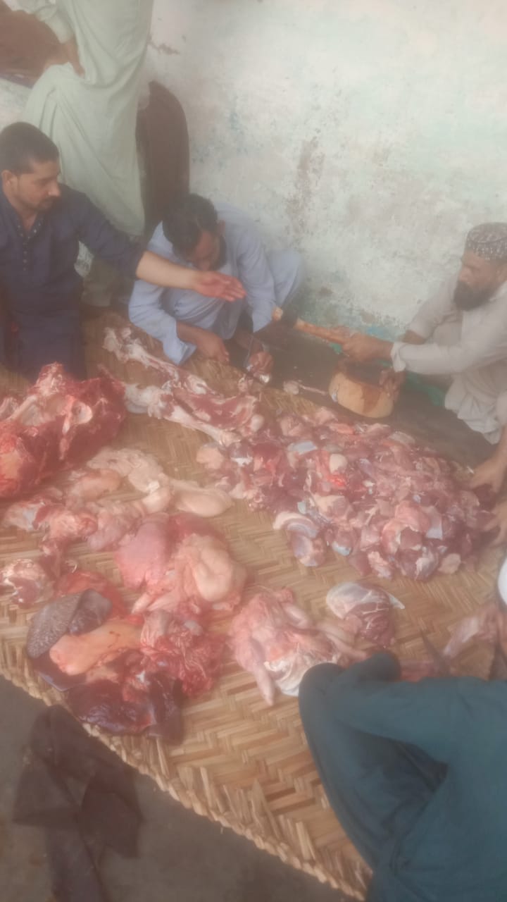 Impact Photo other-30